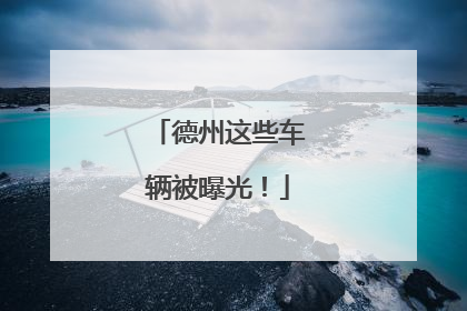德州这些车辆被曝光！