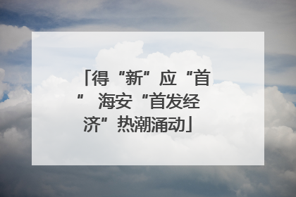 得“新”应“首” 海安“首发经济”热潮涌动