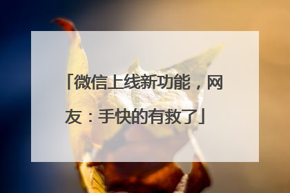 微信上线新功能，网友：手快的有救了