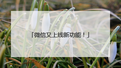 微信又上线新功能！