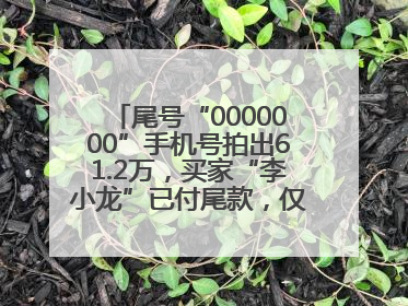 尾号“0000000”手机号拍出61.2万，买家“李小龙”已付尾款，仅享有使用权