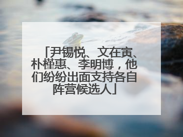 尹锡悦、文在寅、朴槿惠、李明博，他们纷纷出面支持各自阵营候选人