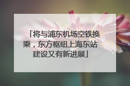 将与浦东机场空铁换乘，东方枢纽上海东站建设又有新进展
