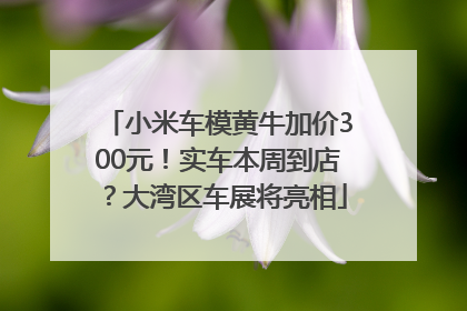 小米车模黄牛加价300元！实车本周到店？大湾区车展将亮相