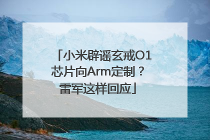 小米辟谣玄戒O1芯片向Arm定制？雷军这样回应
