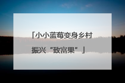 小小蓝莓变身乡村振兴“致富果”