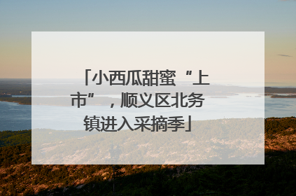 小西瓜甜蜜“上市”，顺义区北务镇进入采摘季