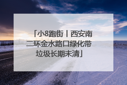 小8跑街丨西安南二环金水路口绿化带垃圾长期未清