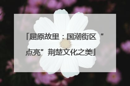 屈原故里：国潮街区“点亮”荆楚文化之美
