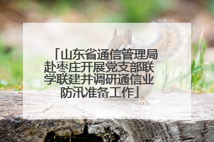 山东省通信管理局赴枣庄开展党支部联学联建并调研通信业防汛准备工作