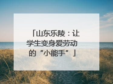 山东乐陵：让学生变身爱劳动的“小能手”