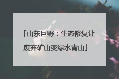山东巨野：生态修复让废弃矿山变绿水青山