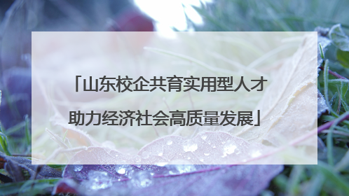 山东校企共育实用型人才 助力经济社会高质量发展