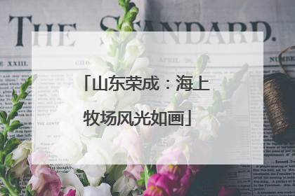 山东荣成：海上牧场风光如画