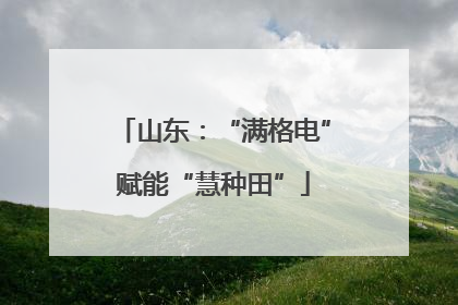 山东：“满格电”赋能“慧种田”