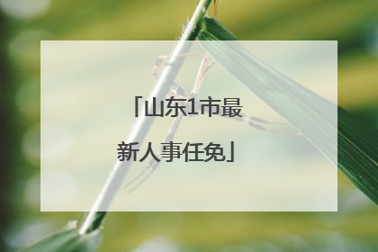 山东1市最新人事任免