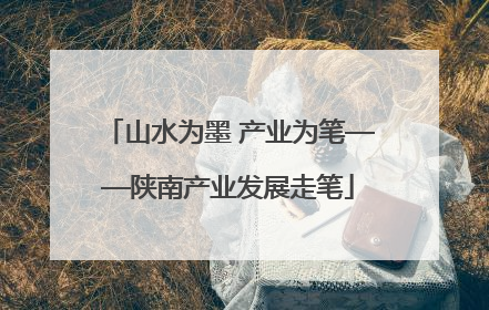 山水为墨 产业为笔——陕南产业发展走笔