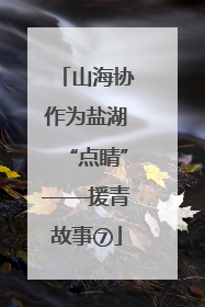 山海协作为盐湖“点睛”——援青故事⑦