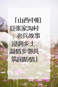 山西中阳县张家沟村：老兵故事浸润乡土 温情乡邻共筑国防情