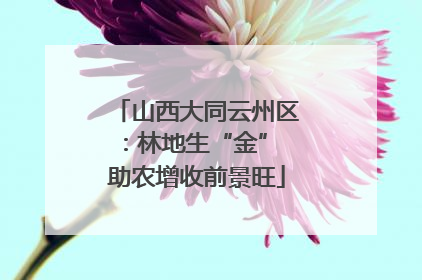 山西大同云州区：林地生“金” 助农增收前景旺