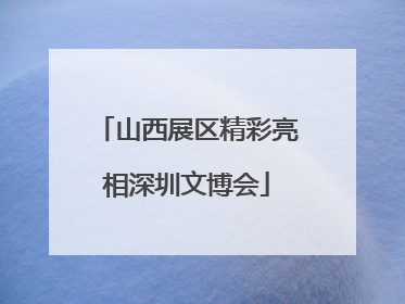 山西展区精彩亮相深圳文博会