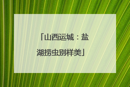 山西运城：盐湖捞虫别样美
