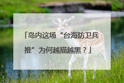 岛内这场“台海防卫兵推”为何越描越黑？
