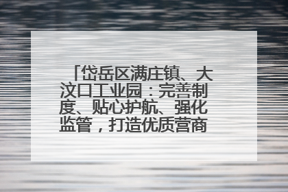 岱岳区满庄镇、大汶口工业园：完善制度、贴心护航、强化监管，打造优质营商“强磁场”