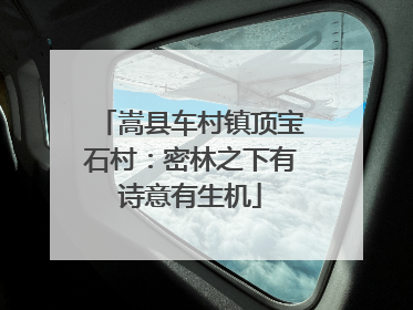 嵩县车村镇顶宝石村：密林之下有诗意有生机