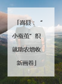 嵩县：“小蚕茧”织就助农增收新画卷