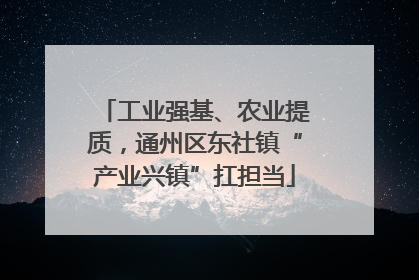工业强基、农业提质，通州区东社镇“产业兴镇”扛担当