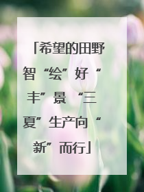 希望的田野智“绘”好“丰”景 “三夏”生产向“新”而行