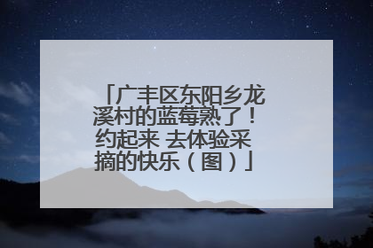 广丰区东阳乡龙溪村的蓝莓熟了！约起来 去体验采摘的快乐（图）