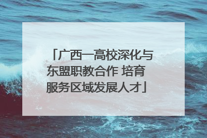 广西一高校深化与东盟职教合作 培育服务区域发展人才