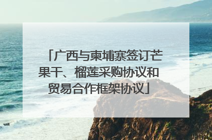 广西与柬埔寨签订芒果干、榴莲采购协议和贸易合作框架协议
