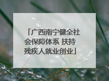 广西南宁健全社会保障体系 扶持残疾人就业创业