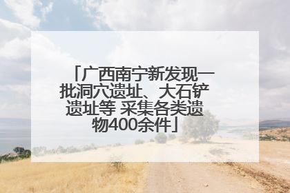 广西南宁新发现一批洞穴遗址、大石铲遗址等 采集各类遗物400余件