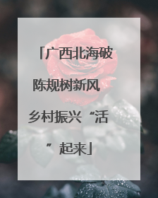 广西北海破陈规树新风 乡村振兴“活”起来
