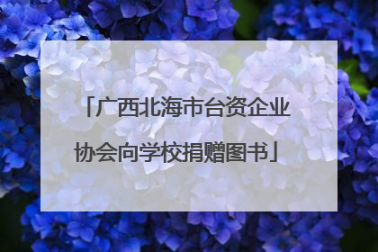 广西北海市台资企业协会向学校捐赠图书