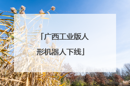 广西工业版人形机器人下线