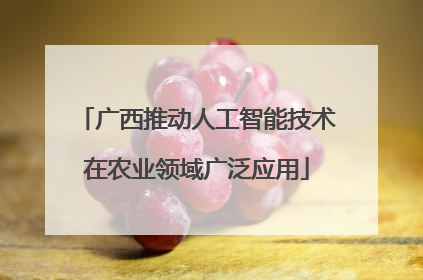 广西推动人工智能技术在农业领域广泛应用