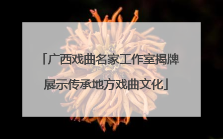 广西戏曲名家工作室揭牌 展示传承地方戏曲文化