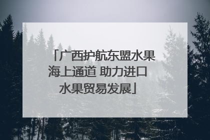 广西护航东盟水果海上通道 助力进口水果贸易发展