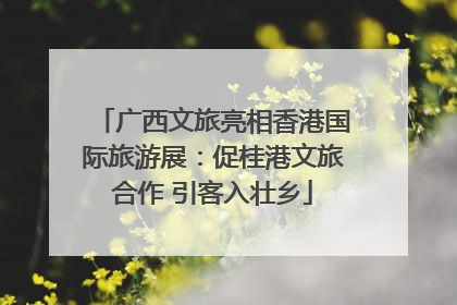广西文旅亮相香港国际旅游展：促桂港文旅合作 引客入壮乡