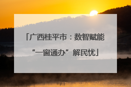 广西桂平市：数智赋能“一窗通办”解民忧