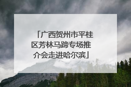 广西贺州市平桂区芳林马蹄专场推介会走进哈尔滨