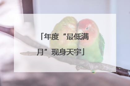年度“最低满月”现身天宇