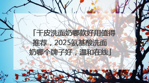 干皮洗面奶哪款好用值得推荐，2025氨基酸洗面奶哪个牌子好，温和在线