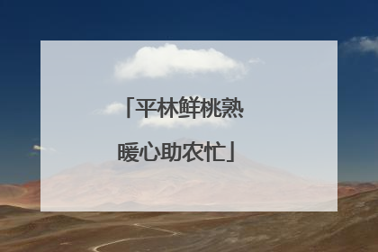 平林鲜桃熟 暖心助农忙