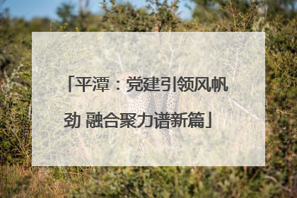 平潭：党建引领风帆劲 融合聚力谱新篇